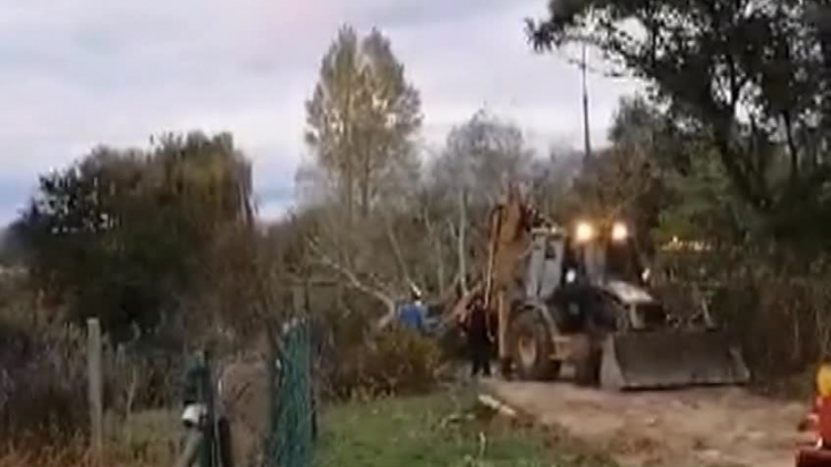 2019_11_15_3_drzewo_sciezka_kazimierza.mp4