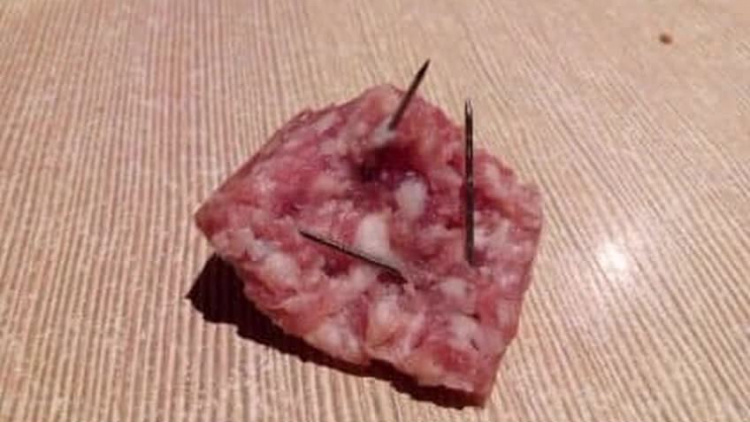 2020_02_05_5_kielbasa_igly_psy.mp4