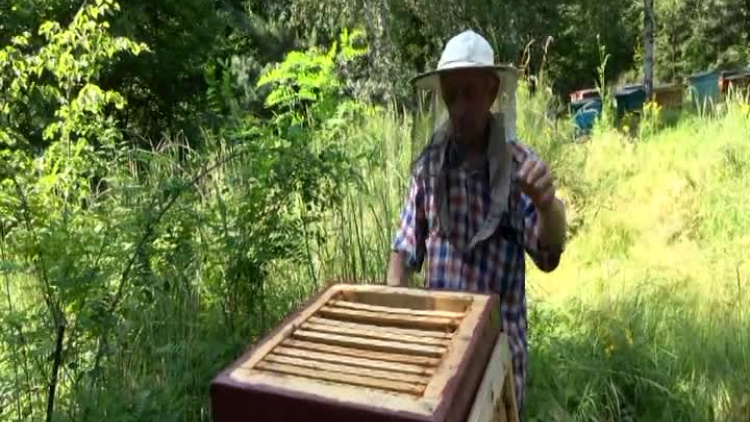 2020_07_06_pszczelarz_marcinkow_program_dzialki_zajawka_polkowice.mp4