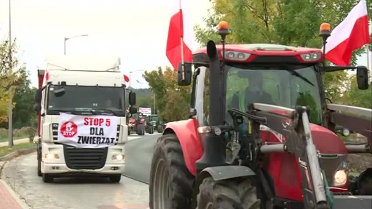 2020_10_21_protest_rolnicy_glogow.mp4