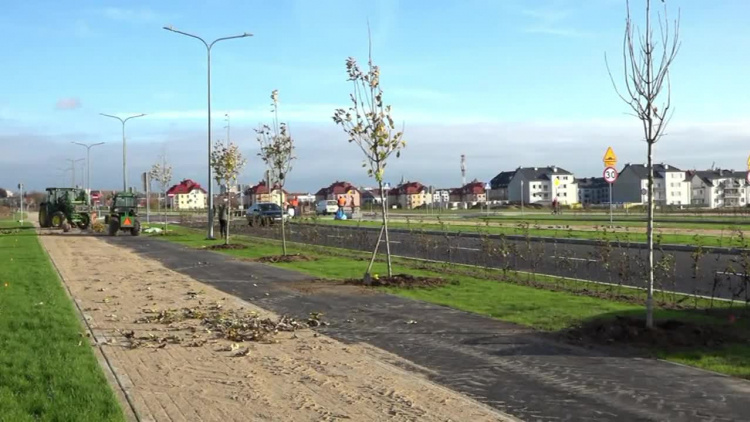 2020_11_19_aleja_sadzenie_drzew_polkowice.mp4