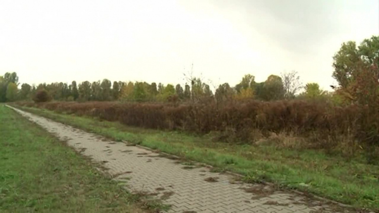 2021-01-22-inwestycje-spadek-rokaszewicz-poprawka.mp4