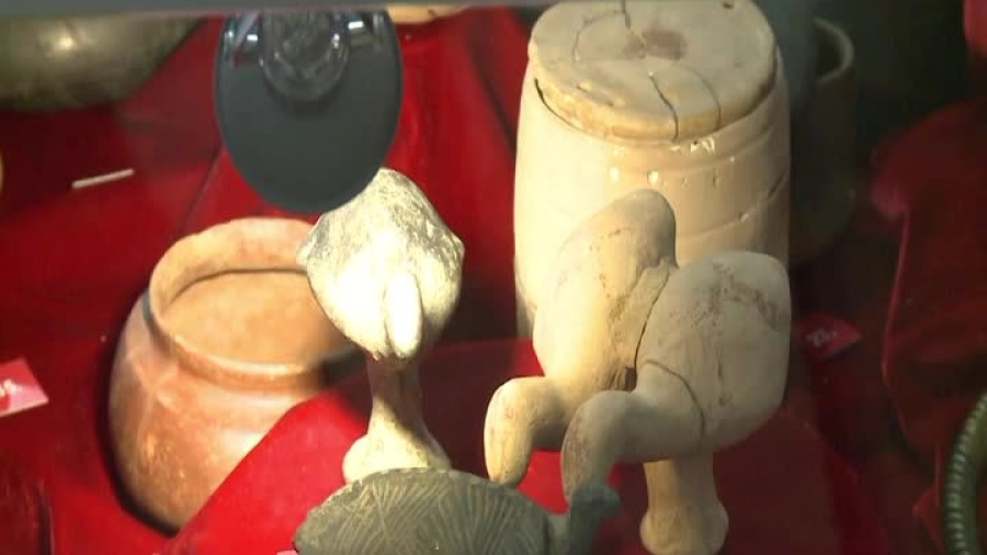 2021-02-15-otwarte-muzeum-glogow1.mp4