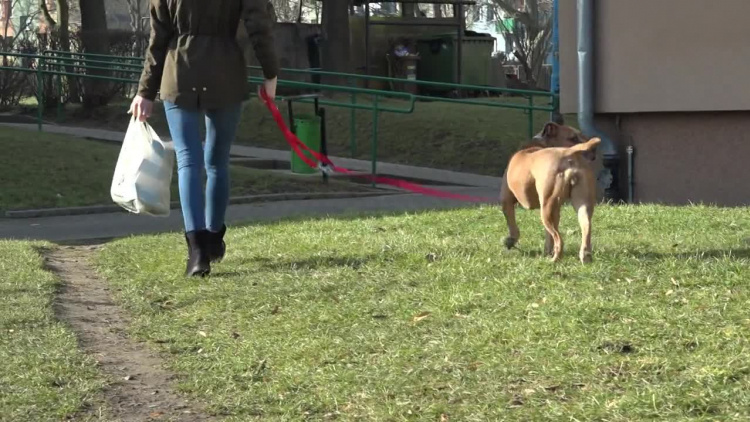 2021-02-22-sm-nadodrze-kupy-trawniki-001.mp4