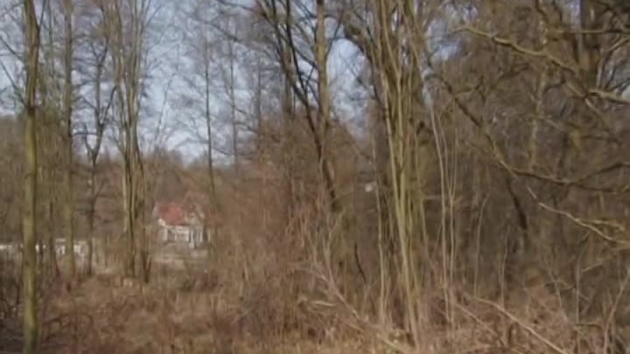 kronika-2011-03-38-bociany-kozuchow.mp4