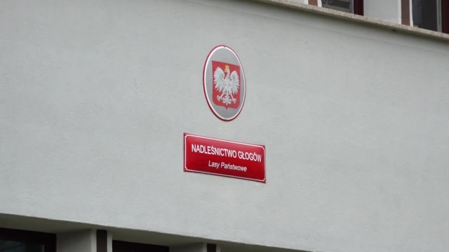 2021-05-17-nadlesnictwo-wydzielone-tereny-rekreacja.mp4