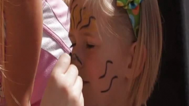 kronika-2011-05-34-piknik-straz-policja-przemkow.mp4