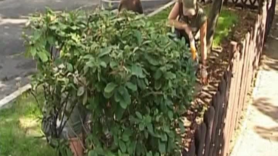 kronika-2011-06-52-wakacyjna-praca-sm-nadodrze.mp4