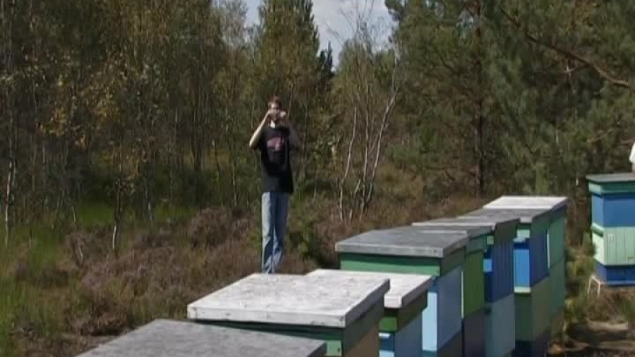 kronika-2011-08-28-pszczelarze-wrzosowiska.mp4