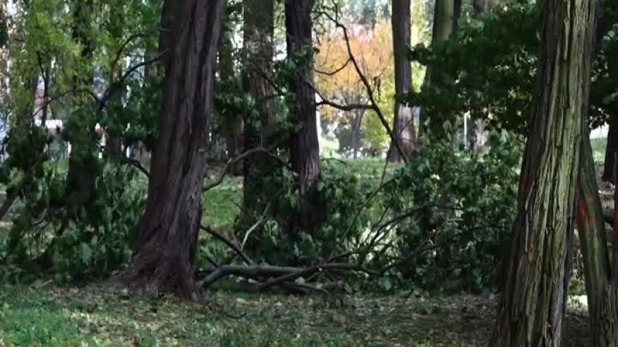 2021-10-22-straty-wichury-glogow.mp4