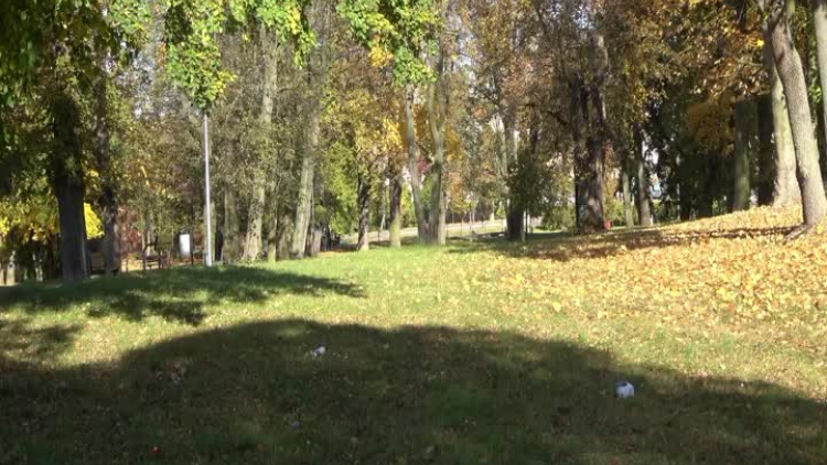 2021-10-29-park-kopalniana-rewitalizacja-polkowice.mp4
