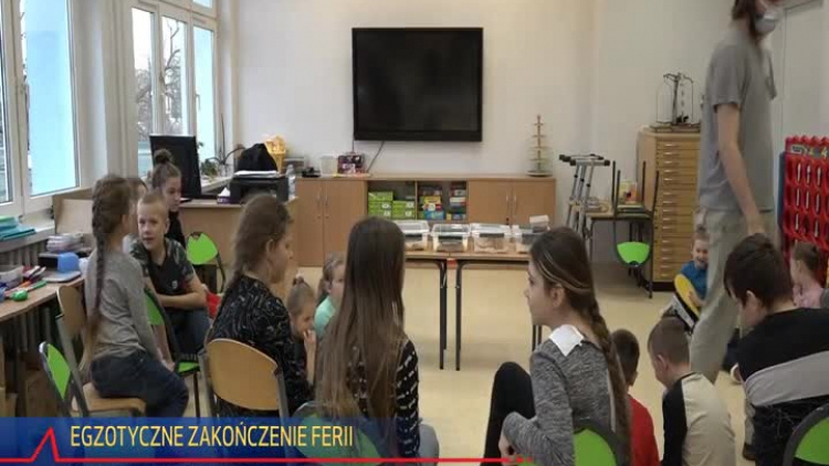 2022-02-11-polkowice-polkolonie-spotkanie-egzotyczne-zwierzeta.mp4