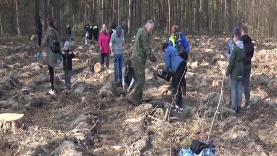 2022-03-29-sadzenie-las-polkowice.mp4