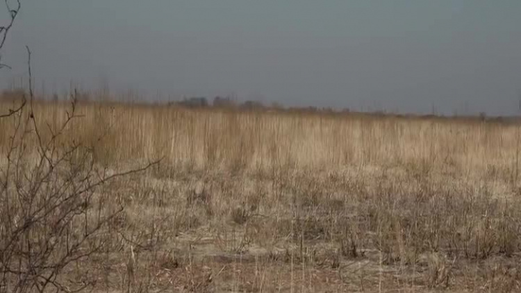 2022-04-01-stara-poczta-lsse-kedziora-sesja-glogow.mp4