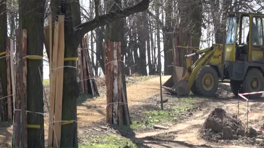 2022-04-19-polkowice-zgm-parki-wiosenne-porzadki.mp4
