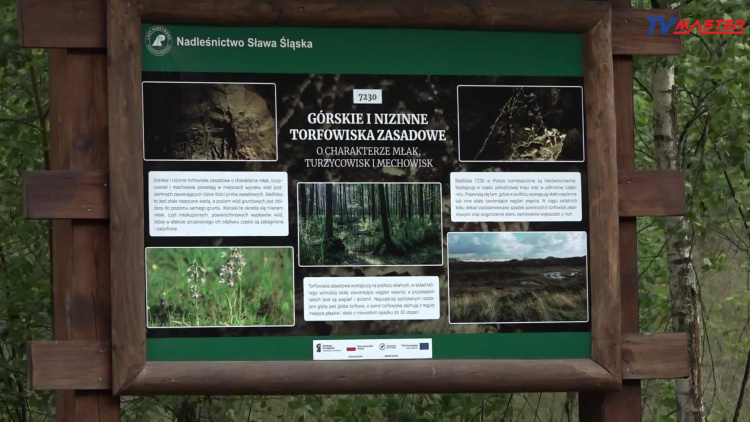 2022-06-21-nadlesnictwo-slawa-slaska-otwarcie-polany.mp4