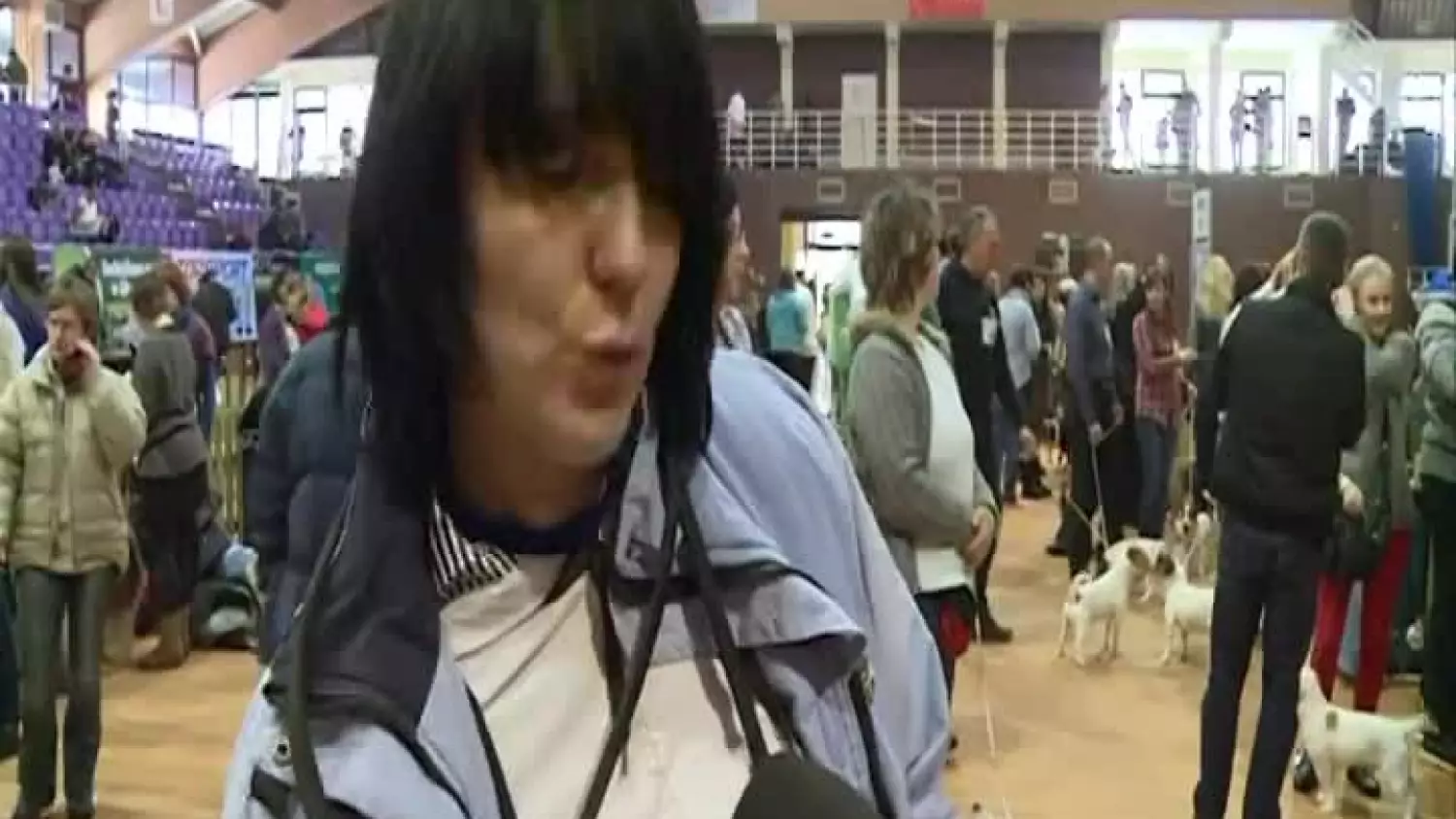 kronika-2013-01-26-wystawa-psow-rasowych-glogow.mp4