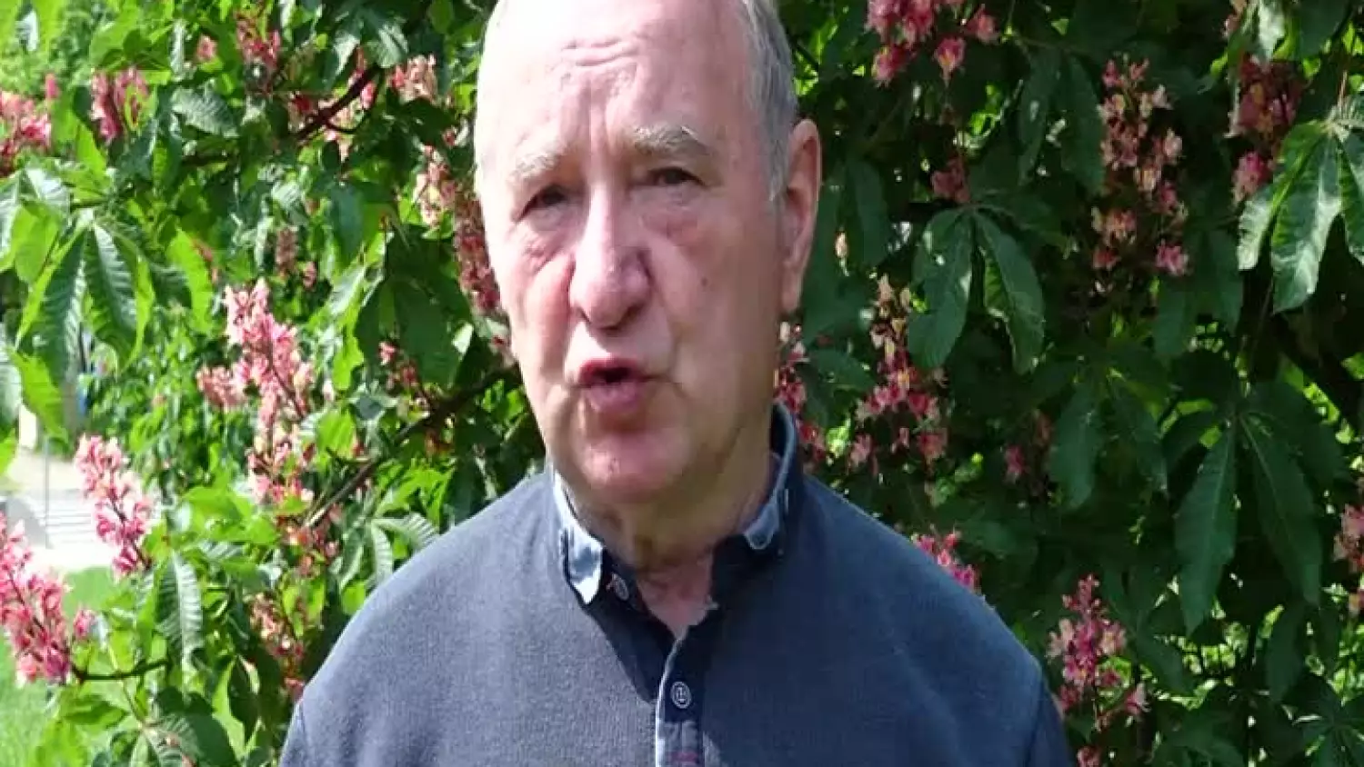 2023-06-13-gek-apel-pamiatki-muzeum-brzeg.mp4