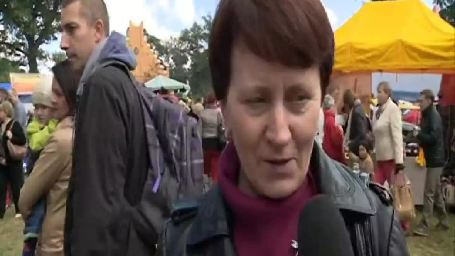 kronika-2013-10-02-swieto-miodu-przemkow.mp4