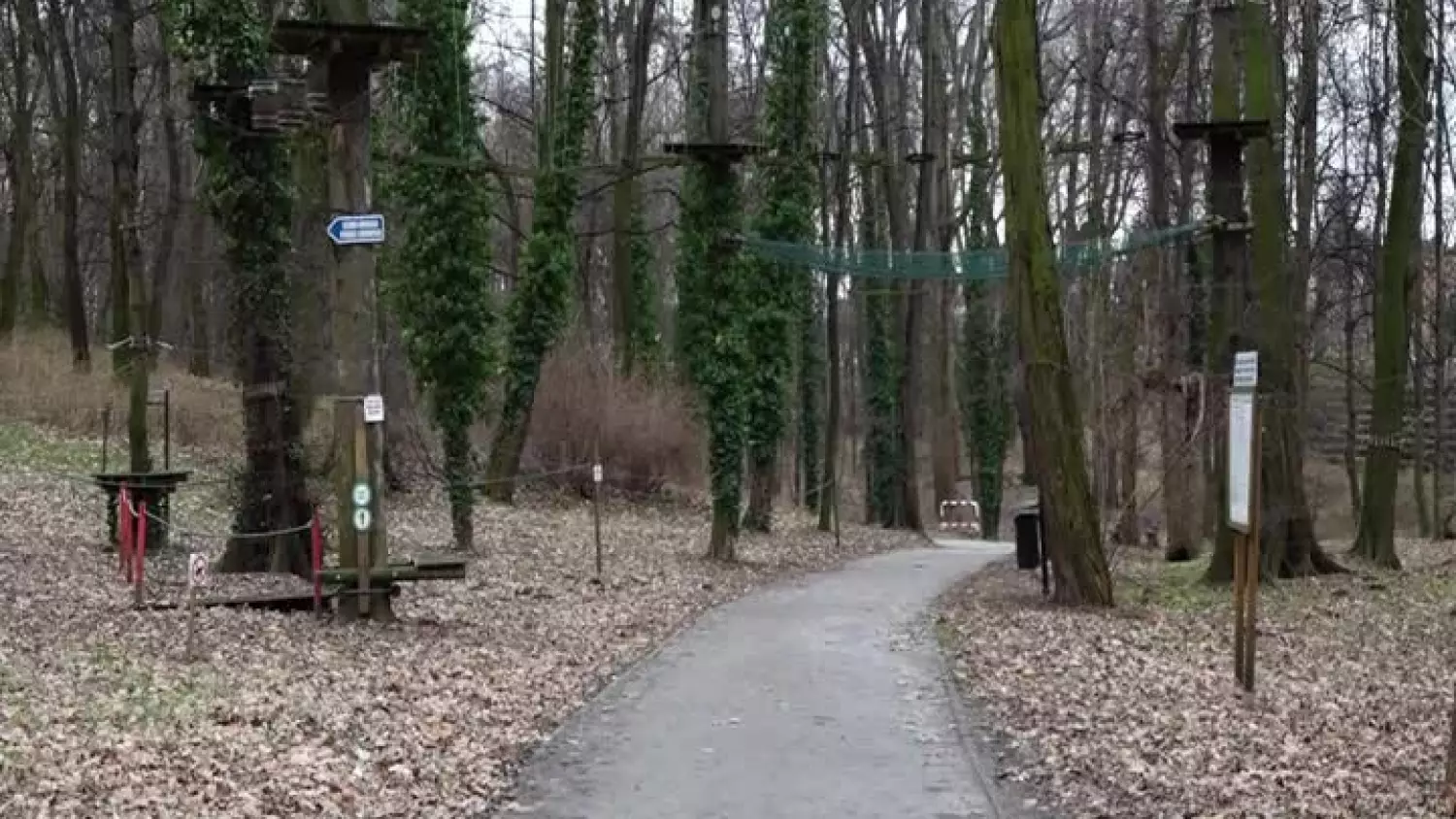 2024-01-05-remont-park-linowy-glogow-4e610c0.mp4