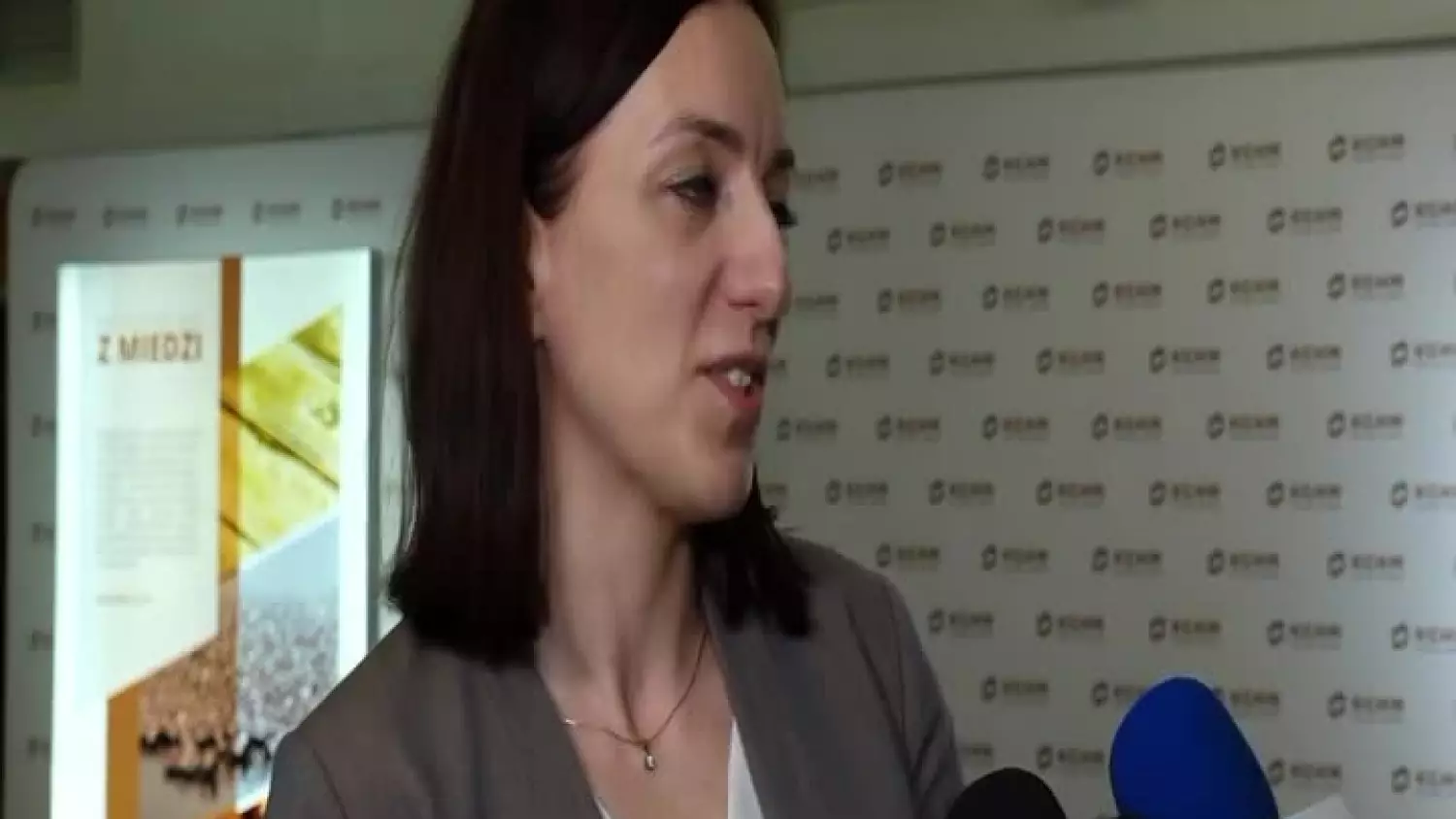2024-03-15-pup-spotkanie-rynek-pracy-mlodziez-glogow1.mp4