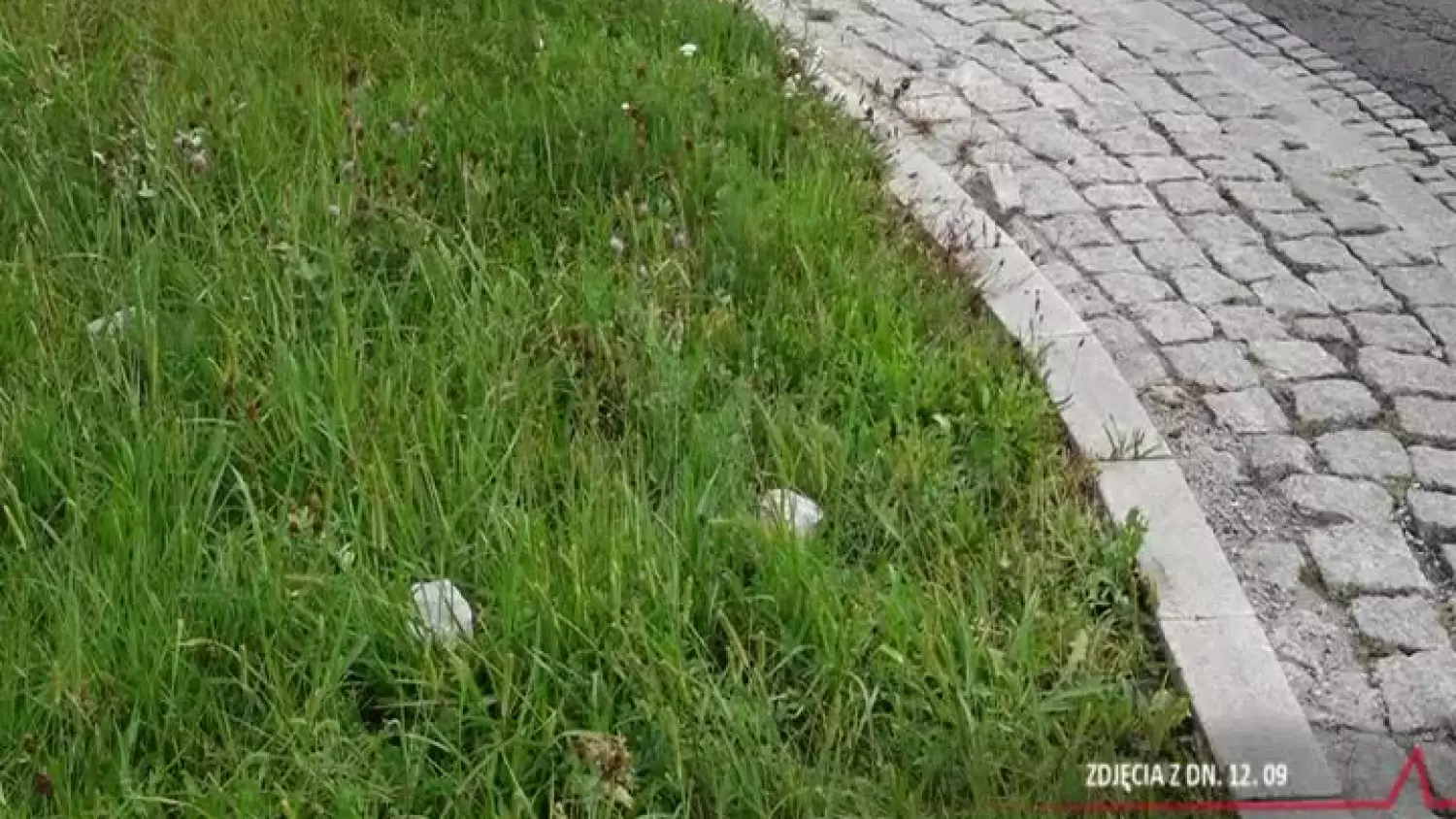 2024-09-13-dziura-rondo-glogow.mp4