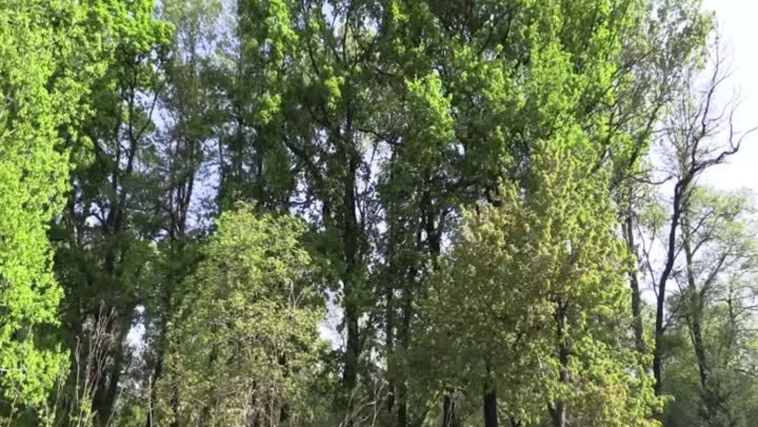 2025-05-02-krochmalna-socjale-glogow-001.mp4