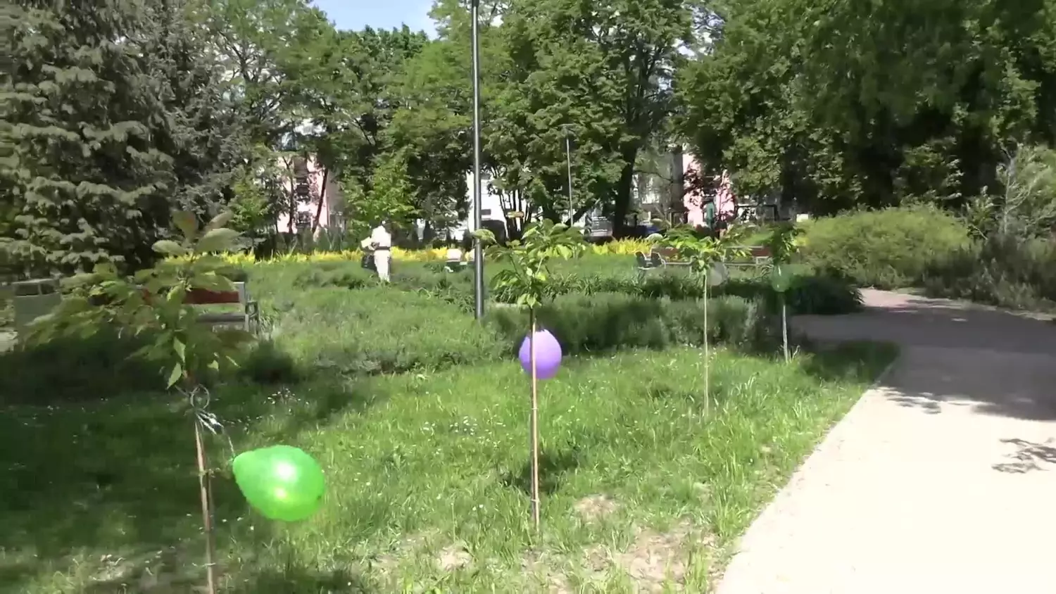 2025-05-14-fontanna-seniorzy-polkowice.mp4