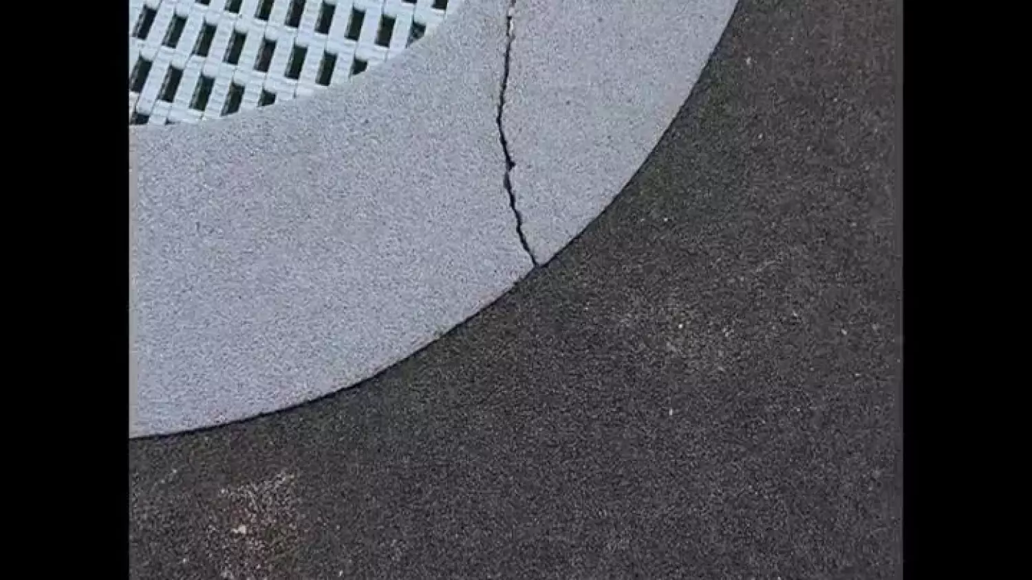 tramp-001.mp4