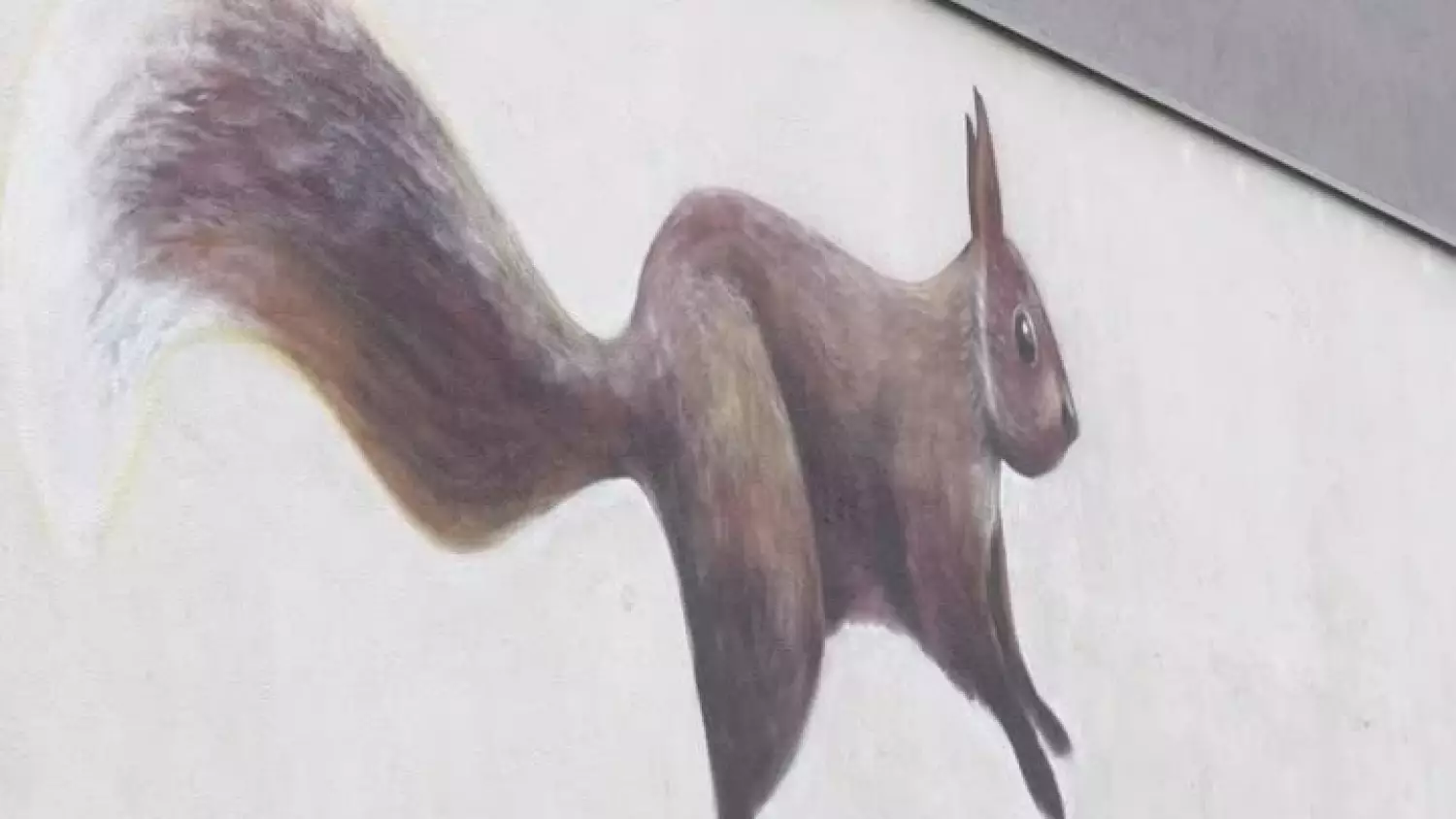 2025-10-23-mural-plywalnia-chrobry-glogow-002.mp4