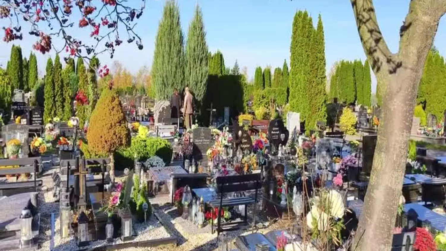 2025-11-01-obchody-wszystkich-swietych-rafal-zendran-001.mp4