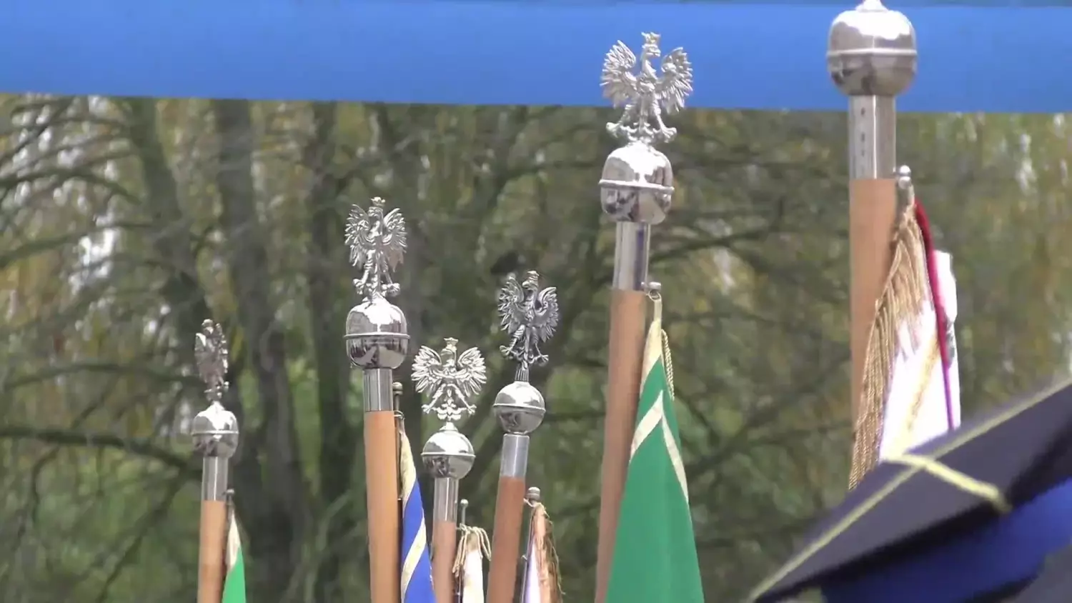 2025-11-11-swieto-niepodleglosci-obchody-polkowice.mp4