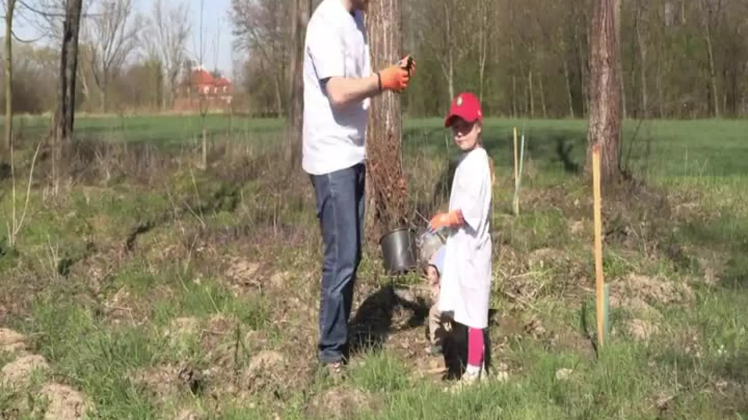 lasek.mp4