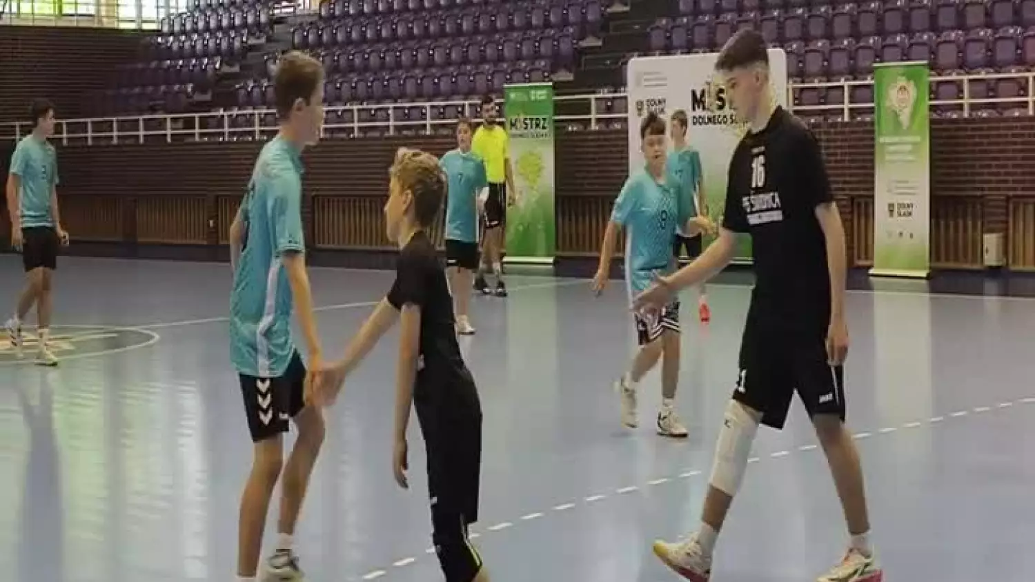 recznaaaaaa-001.mp4